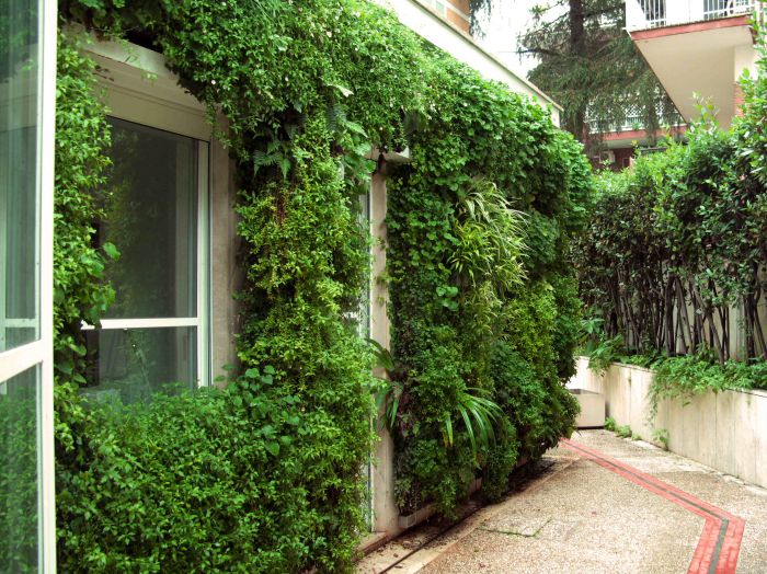 piccolo edificio con muri attrezzati con verde verticale a roma