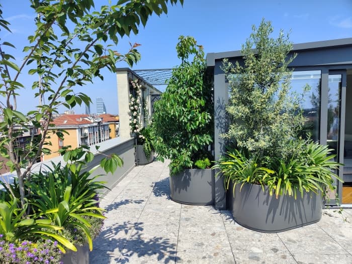 Matching planters on a sunny terrace