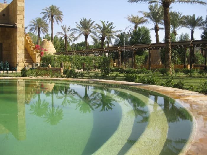 Palme riflesse sulla superficie della piscina di un giardino privato a Riyadh