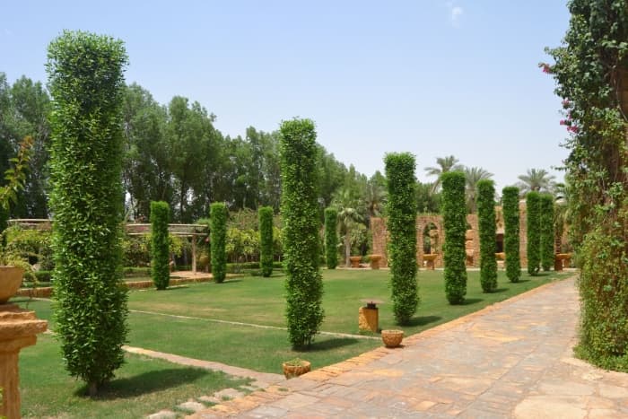Prospettiva creata con arbusti topiati in forma, a Riyadh